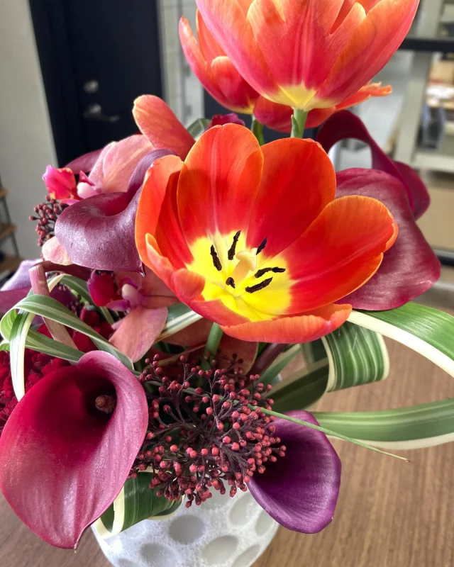 今週のお花です。赤いチューリップがメインの鮮やかな鉢植えが玄関を彩ります。
#プラスコーポレーション #プラスコーポレーションの話 #花 #はなのある生活 #チューリップ #グリーンポットふじたに